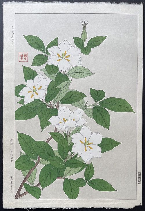 Kawarazaki Shodo's Gardenia woodblock print — white gardenia flowers among green leaves