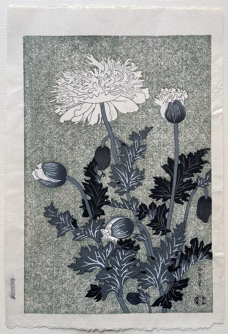 Poppies by Benji Asada