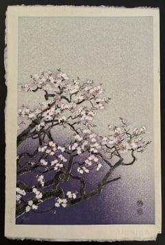 Cherry Blossoms