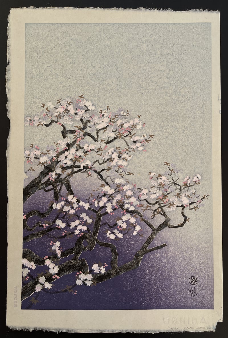Cherry Blossoms by Eiichi Kotozuka
