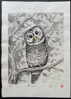 Owl - Be Happy (Lifetime)