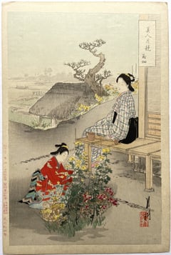 Chrysanthemums