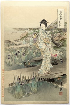 Iris Garden
