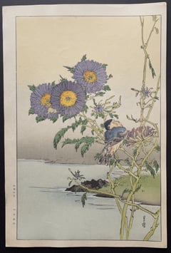 Blue Bird and Asters