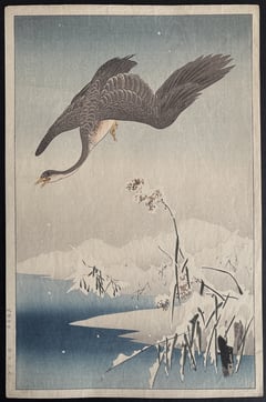 Wild Goose over a Snowy Pond