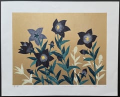 Bellflower 1