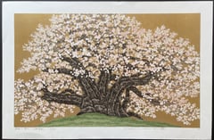 Cherry of Hotchi 2 (Gunma)