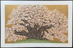 Cherry of Hotchi 2 (Gunma)