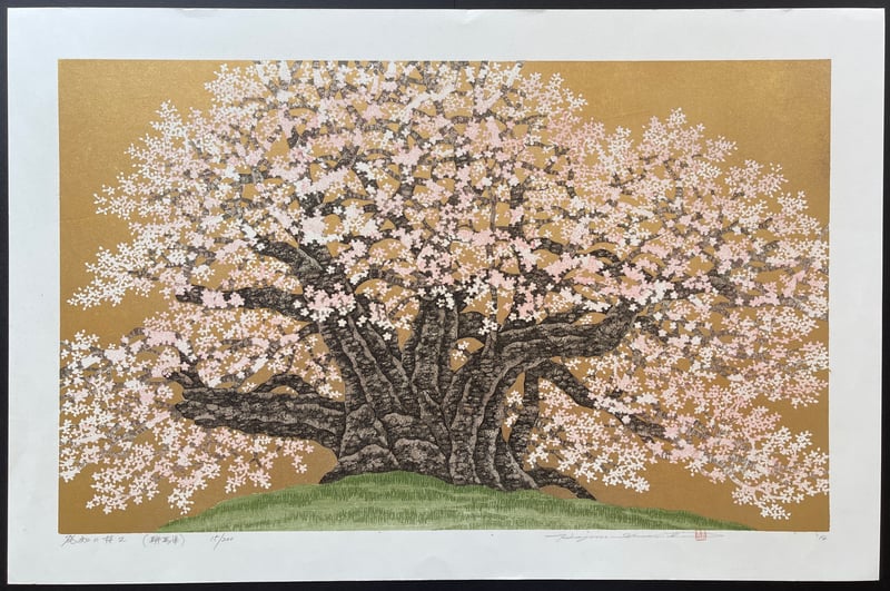 Cherry of Hotchi 2 (Gunma) by Hajime Namiki