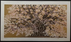 Daigo Sakura
