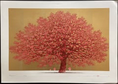 Dogwood 11