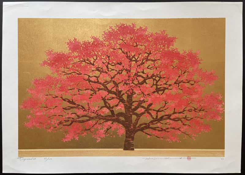Dogwood 3A by Hajime Namiki