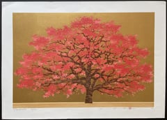 Dogwood 3A
