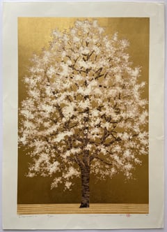 Dogwood 4