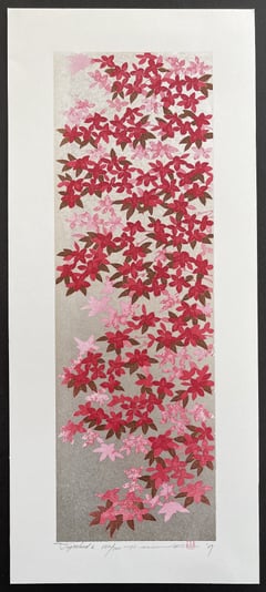 Dogwood 6