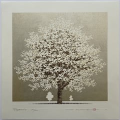Dogwood 8