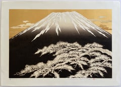 Fuji 10