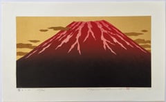 Fuji 11
