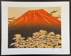 Fuji 12