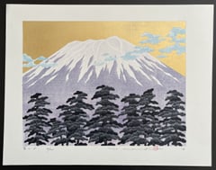 Fuji 15