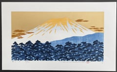 Fuji 16