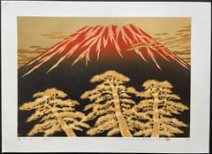 Fuji 17