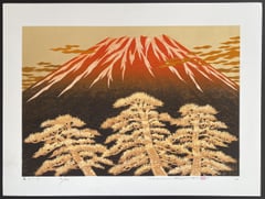 Fuji 17