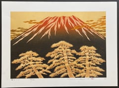 Fuji 17