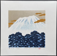 Fuji 18