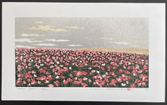 Hill-2 Poppy