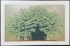 Igei no Gajimaru (Okinawa)