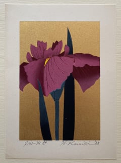 Iris 34 by Hajime Namiki