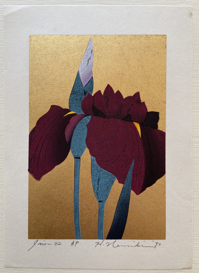 Iris 42 by Hajime Namiki