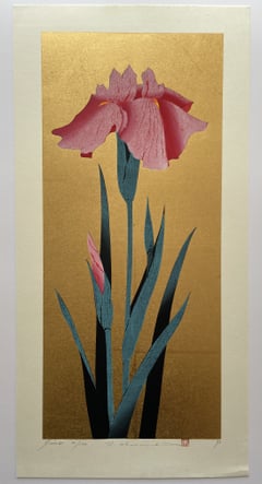Iris 51