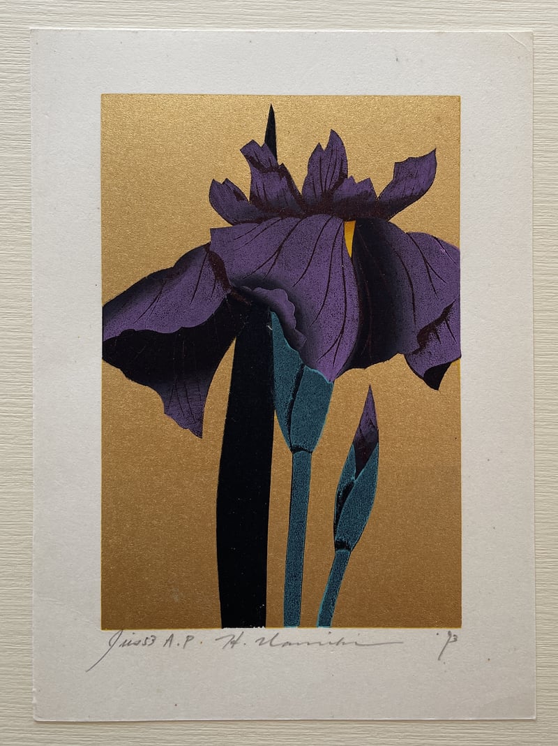 Iris 53 by Hajime Namiki