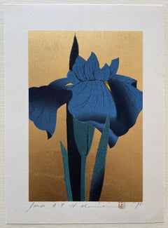Iris 60