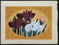 Iris 71