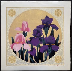 Iris 72