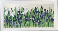 Iris 78
