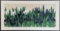 Iris 78