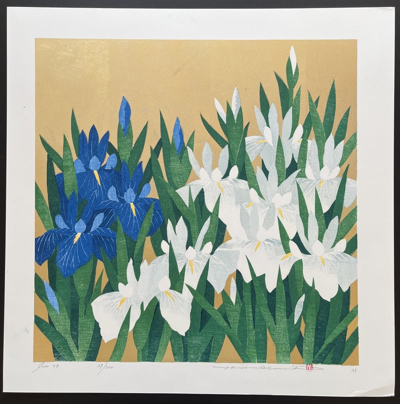 Iris 79 by Hajime Namiki
