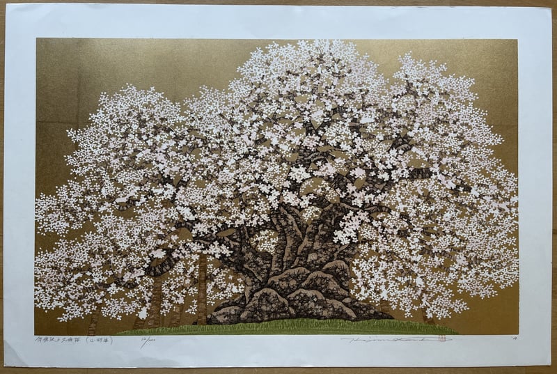Kubo Cherry of Isazawa (Yamagata) by Hajime Namiki