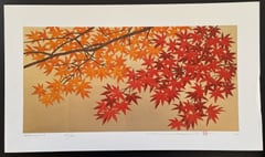 Momiji 3