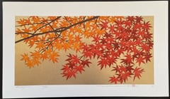 Momiji 3