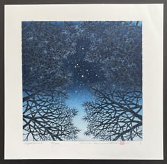 Night scene 3