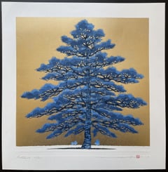 Pine tree 1A