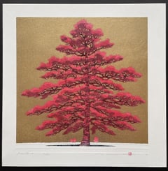 Pine tree 1B