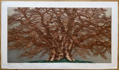 Saruhami Zelkova