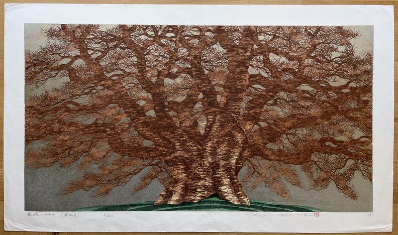 Saruhami Zelkova by Hajime Namiki