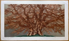 Saruhami Zelkova